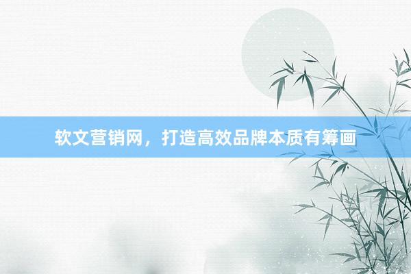 软文营销网，打造高效品牌本质有筹画